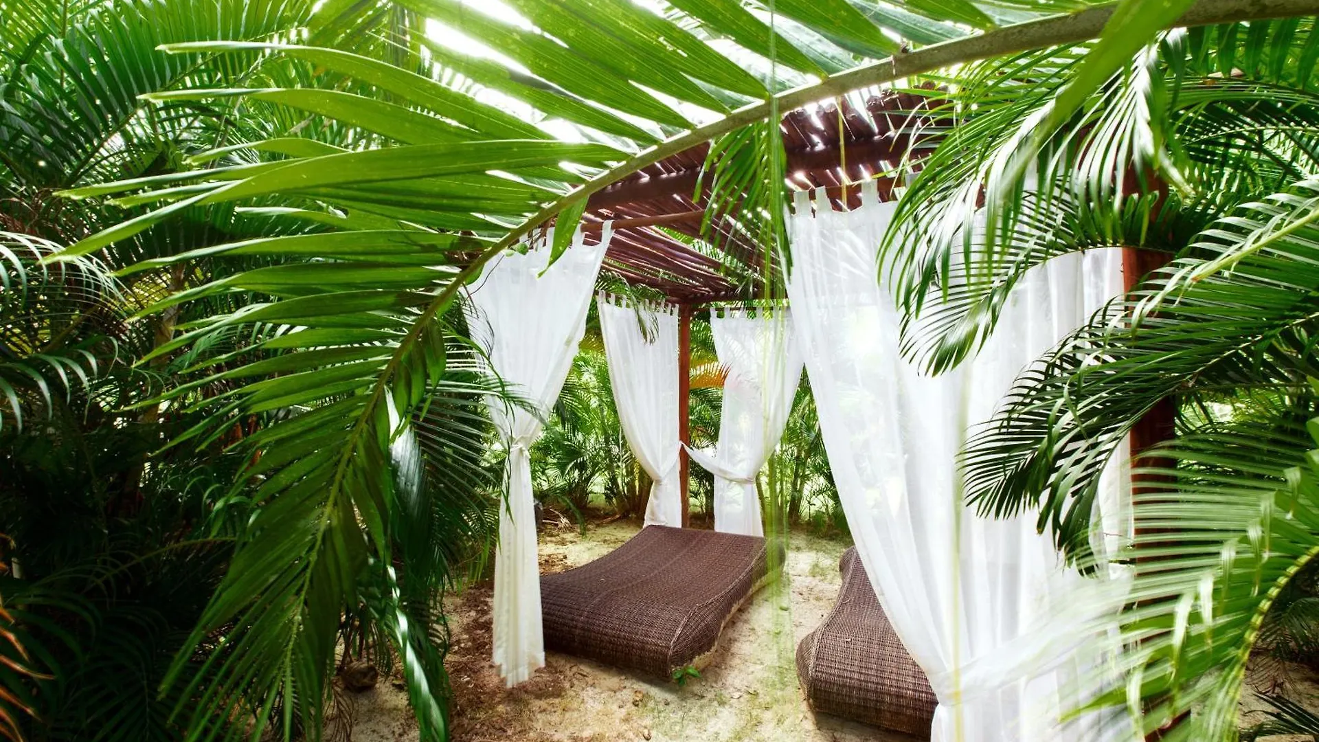 ***** Hotel Tropicana Suites Deluxe Beach Club And Pool - Playa Los Corales Punta Cana Den Dominikanske Republik