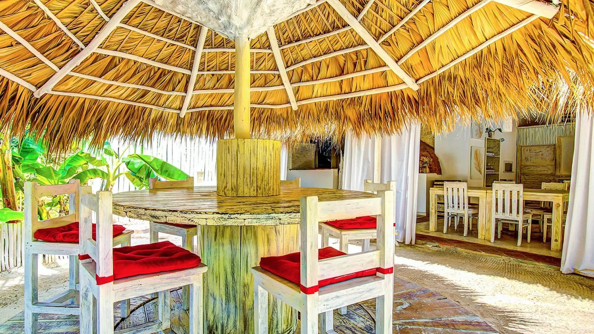 Tropicana Suites Deluxe Beach Club And Pool - Playa Los Corales Punta Cana Den Dominikanske Republik